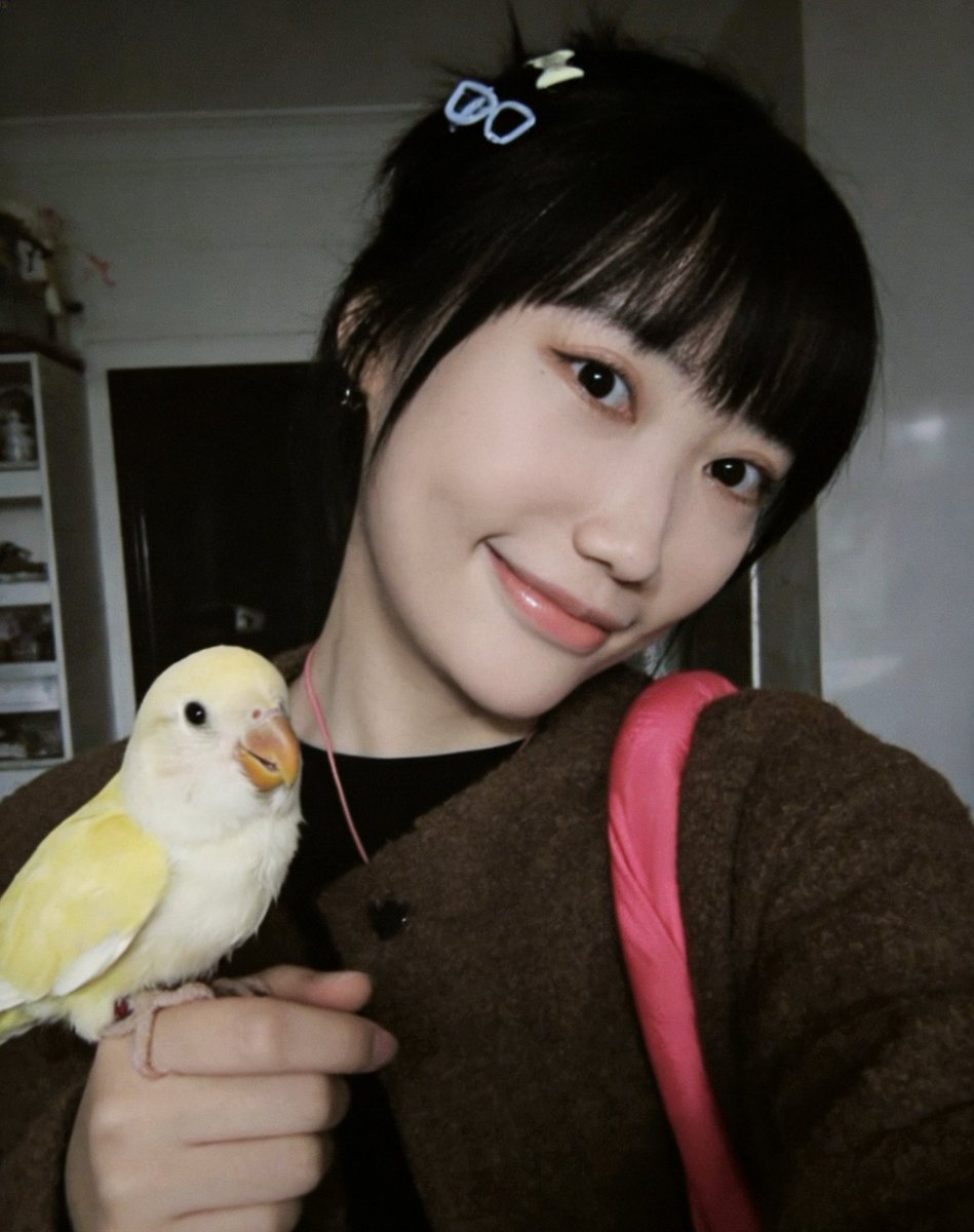 danbing214's tweet photo. 大家好，我是蛋饼，一个现充网瘾少女/资深铲屎官/前策展人，这个月因为超级无敌大开门开始炒memecoin。

然后是格林、恶俗企鹅、爱你老己、草地牛，特别是格林，带给了我很多关于meme文化的认知。这段时间随着格林哭哭笑笑以及社区建设，我开始饲养两只半毛小鹦鹉，体验奶大一个崽的羁绊，作为拥有一猫一狗一龟一缸鱼的资深铲屎官，我觉得再难养也难养不过以上几种生物吧？？

No，没想到完全低估了难度——大半夜定闹钟起来喂奶，恒温箱温湿度也要严格，不然就拉稀积食要我鸟命，好不容易熬过半毛又要手把手教断奶学吃，简直像在养婴儿！明明严格照着饲养手册来，小鸟还一个劲掉秤，越养越瘦…

😭实在没辙，网教程不是万能，每个小鹦鹉都有不同的体质，为了救我鸟命，于是我就想，通Claude、Gemini来做一个AI养宠APP，让AI帮我养鸟，没想到真救我鸟命了，我家山楂终于开始增重了。

以下是我 vibe coding出来的App，先给大家看看这只可爱的小鹦鹉吧

产品网址是 https://t.co/z2sQ0Lxy8t

目前我们还在调试更改这个软件，包括
—喂食种类、量
—大便情况、体重、温湿度变化
—AI 喂养的动态建议

目前还在慢慢调试优化这个小工具想问问大家有没有养异宠的血泪经验，评论区求支招呀！