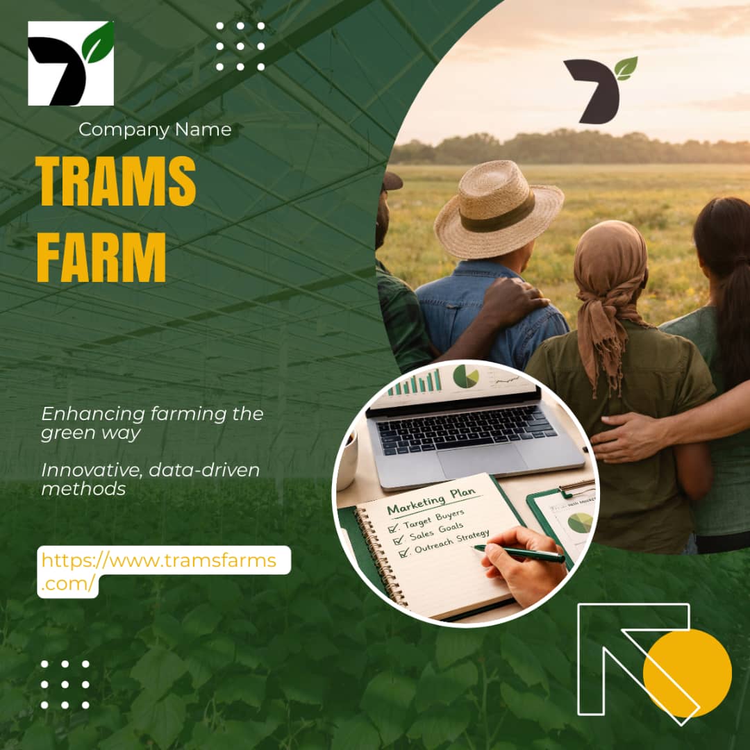 Buying goods in bulk shouldn't be an extreme sport.
If you’re a restaurant owner or a bulk trader, you shouldn’t be dealing with fake plugs and scammers. Prices changing every 2 hours, Getting Grade C when you paid for Grade A @Tramsfarm is for serious buyers. react if interested