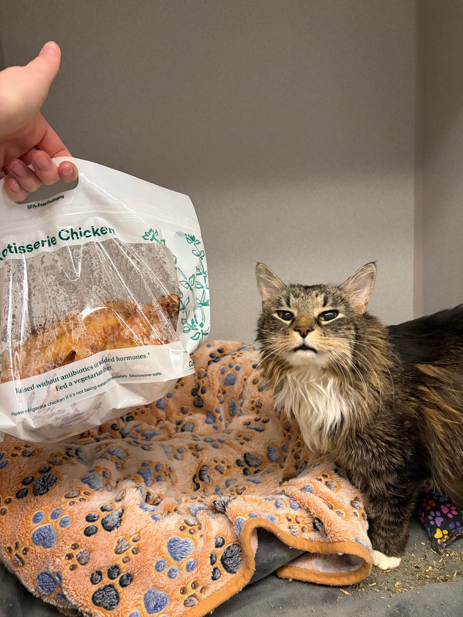 Flare (フレア) tweet media