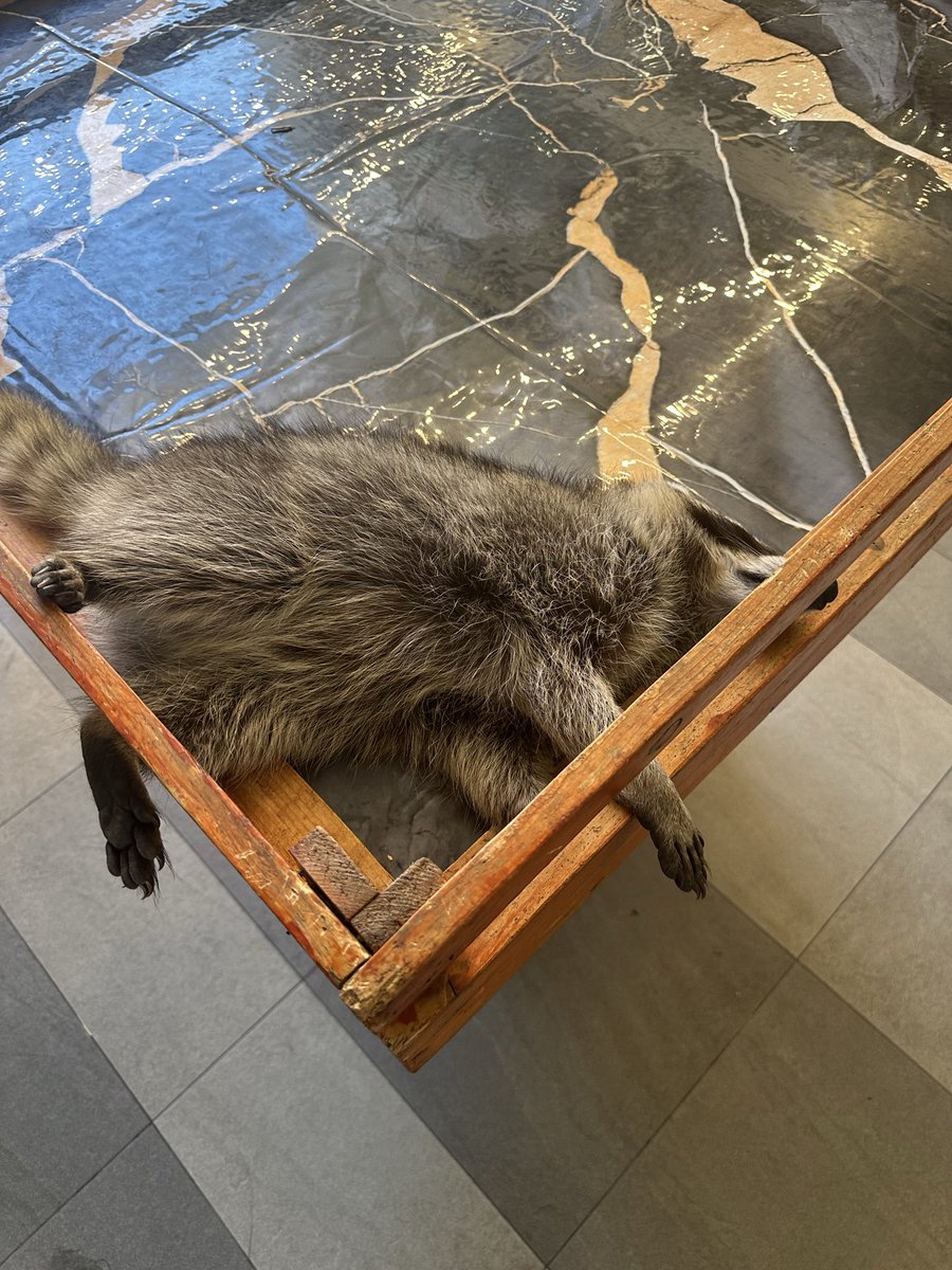 ตรวจพบคนอู้งาน <a href="/PrettyB0b/">Pretty BOb・プリチィーボブ ⚠️🦝</a>