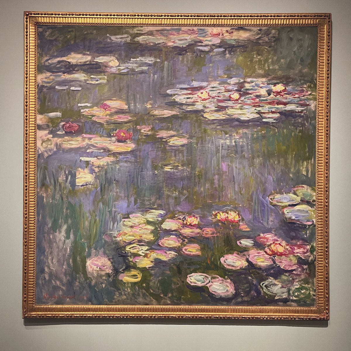 Rekka【れっか】 tweet media