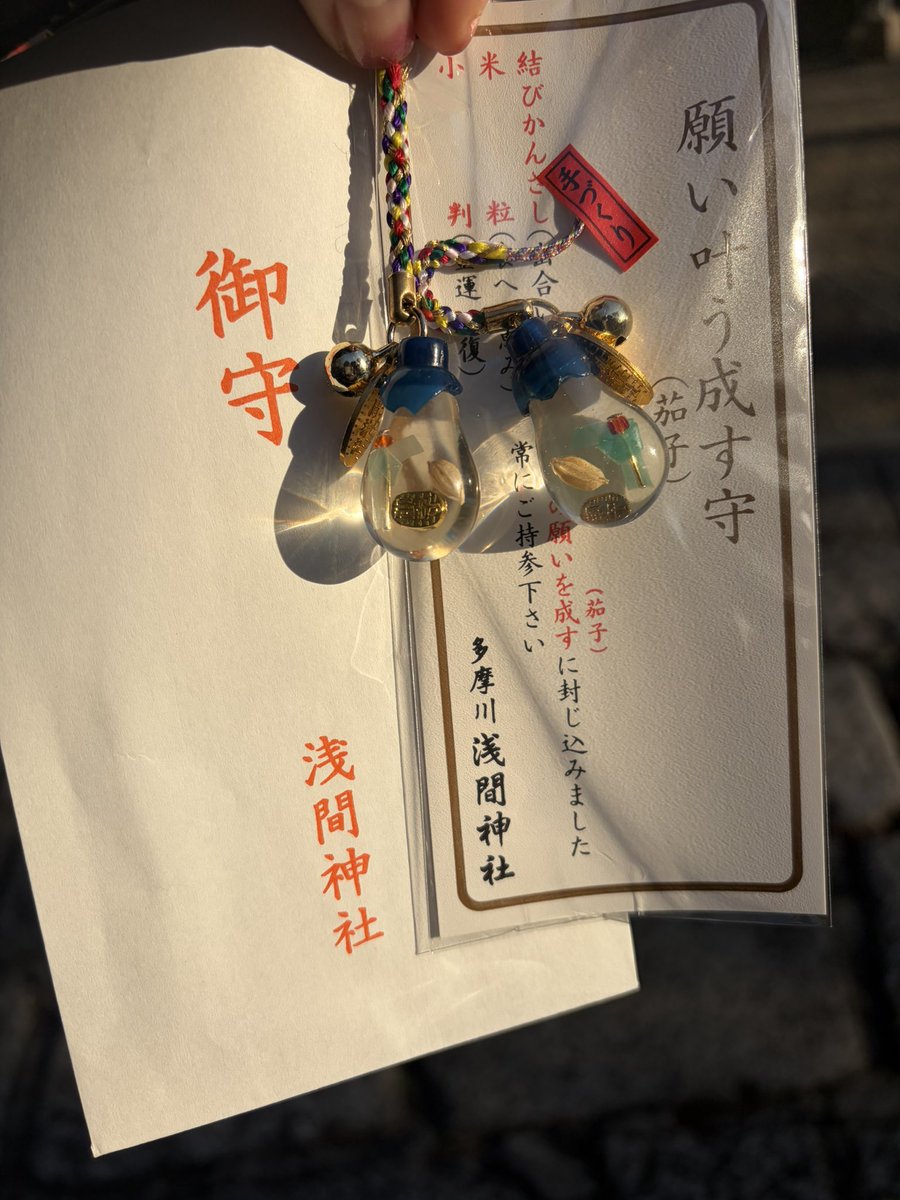 早々に破損してしまって6代目おナスへ。え！？もう！？と思ったけど、別で神社に行く用事が急にできたので、多分呼ばれたんだな。