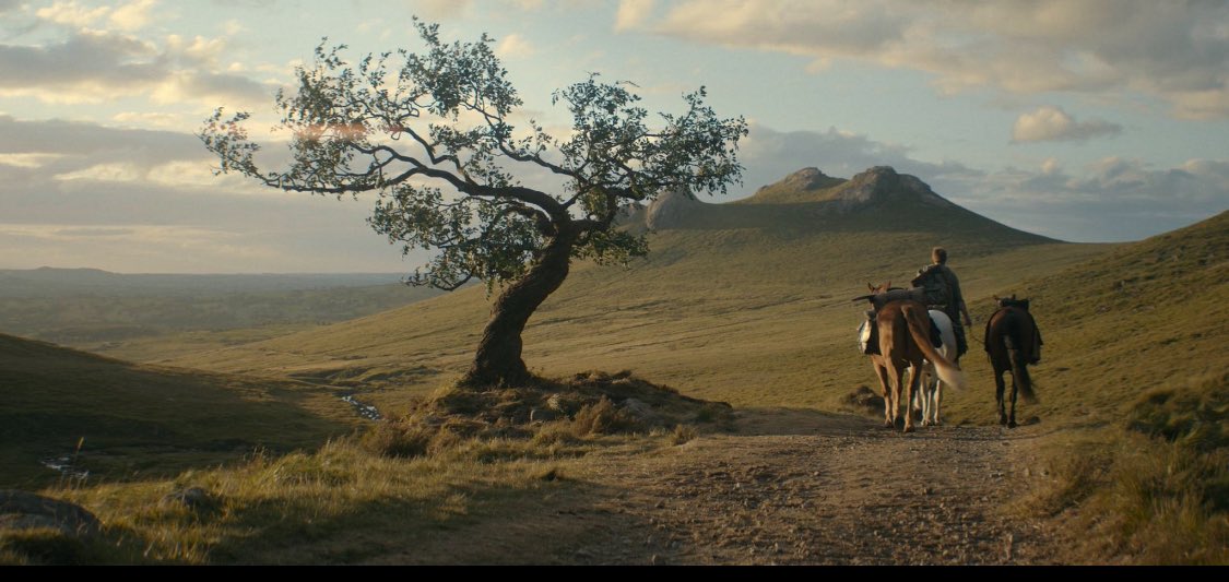 halfman98's tweet image. الليلة الساعة 7 بإذن الله سبيس عن الحلقة الثانية حياكم 🪾
#AKnightOfTheSevenKingdoms