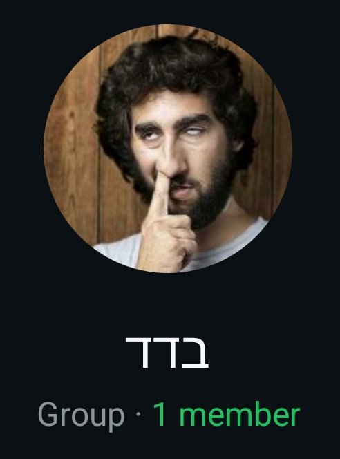 מה השם והתמונה של הקבוצה שלכם לבד בווצאפ