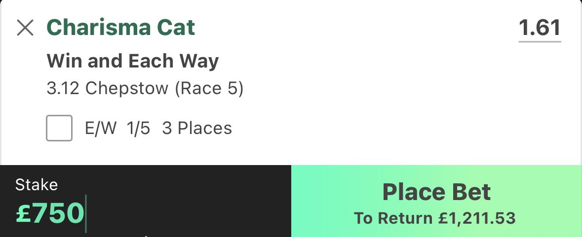 KB Horses tweet media