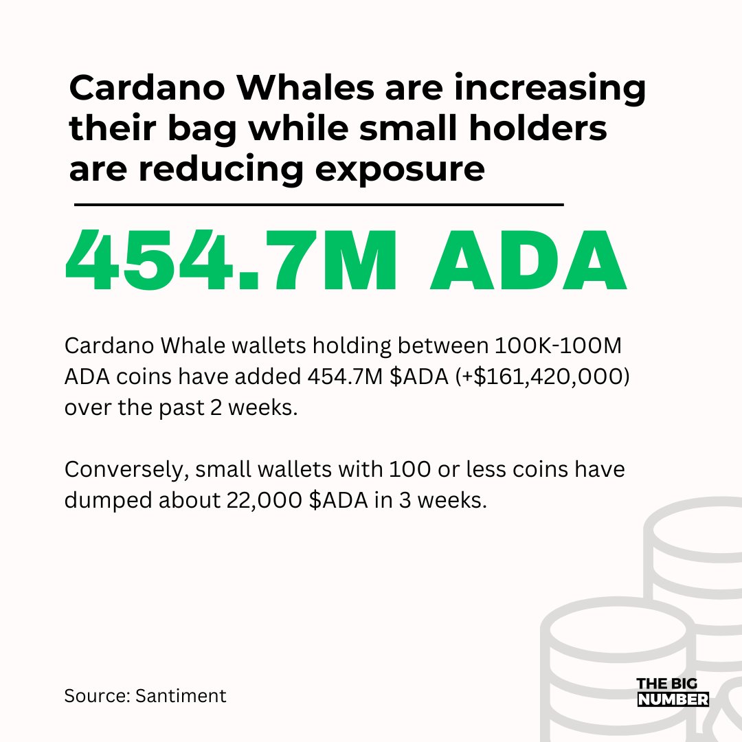 TheBigNumbers_'s tweet photo. Cardano Whales are making waves https://t.co/bBiGoyQxfs