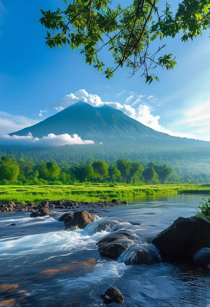 StupendousNatur's tweet image. 