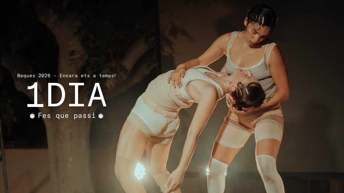 Festival Nosaltres tweet media