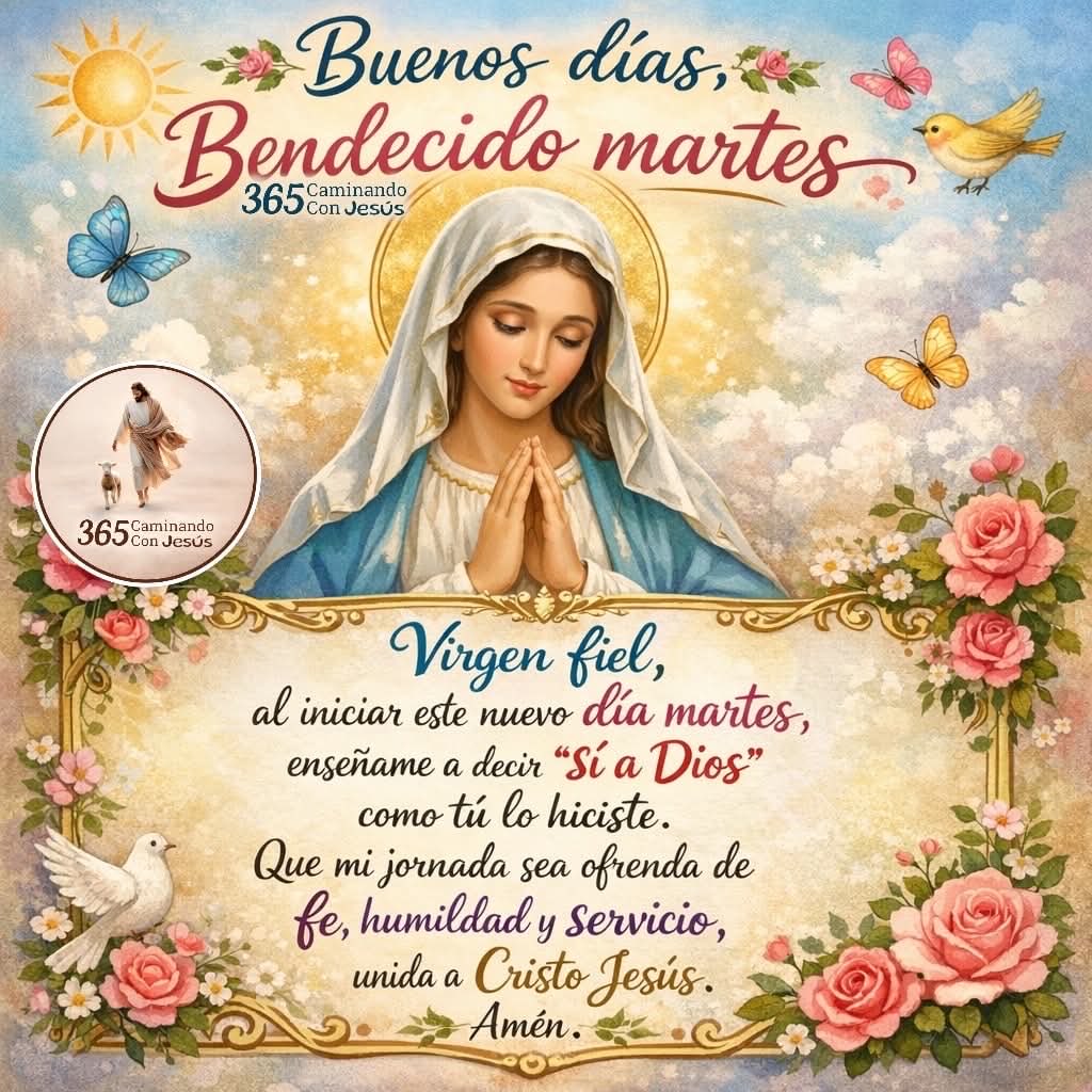 Buenos días 

Que ésté día comience bajo la gracia de Dios, y su Santa Madre con paz en tu corazón, fe firme en tu camino y esperanza que ilumine cada paso.
