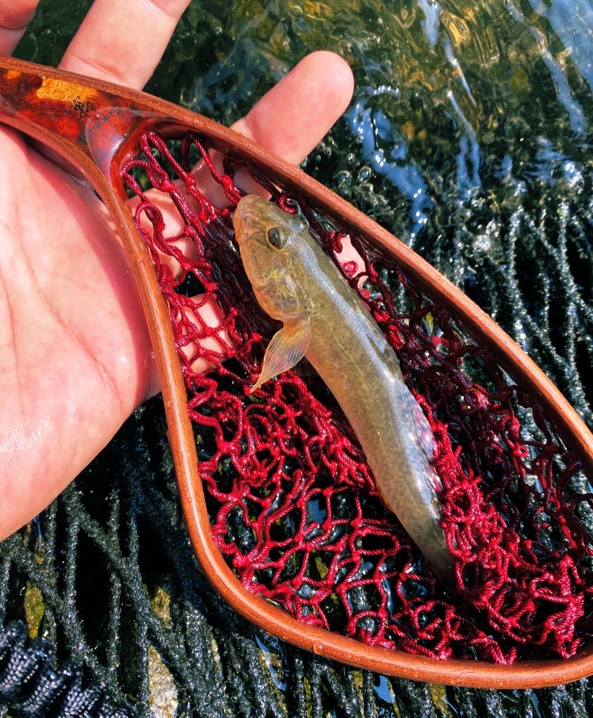 松永 啓 tweet media