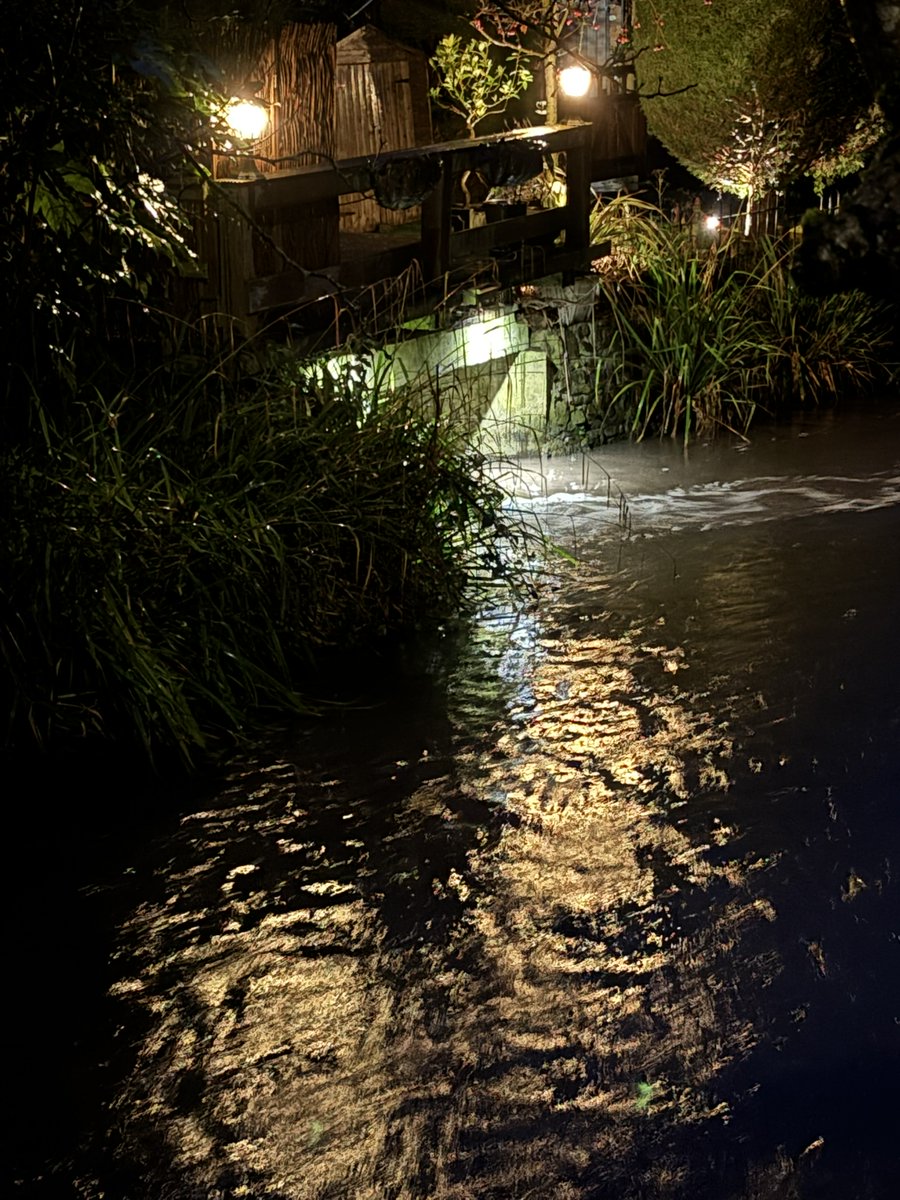 I took a sample of motorway runoff into the River Wye recently. The pollution level for Benzo(g,h,i)perylene exceeded the legal Standard by 675 times. How can our rivers ever recover when this toxic pollution occurs every time it rains? This chemical is extremely toxic.