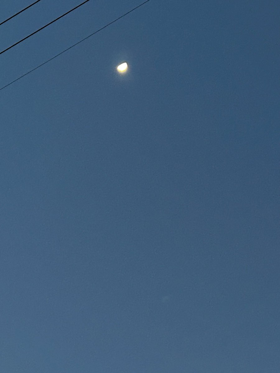 今日もお疲れさまです☺︎

良い夜を...🌛୨୧