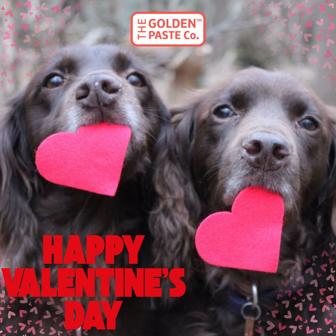 The GoldenPasteCompany tweet media