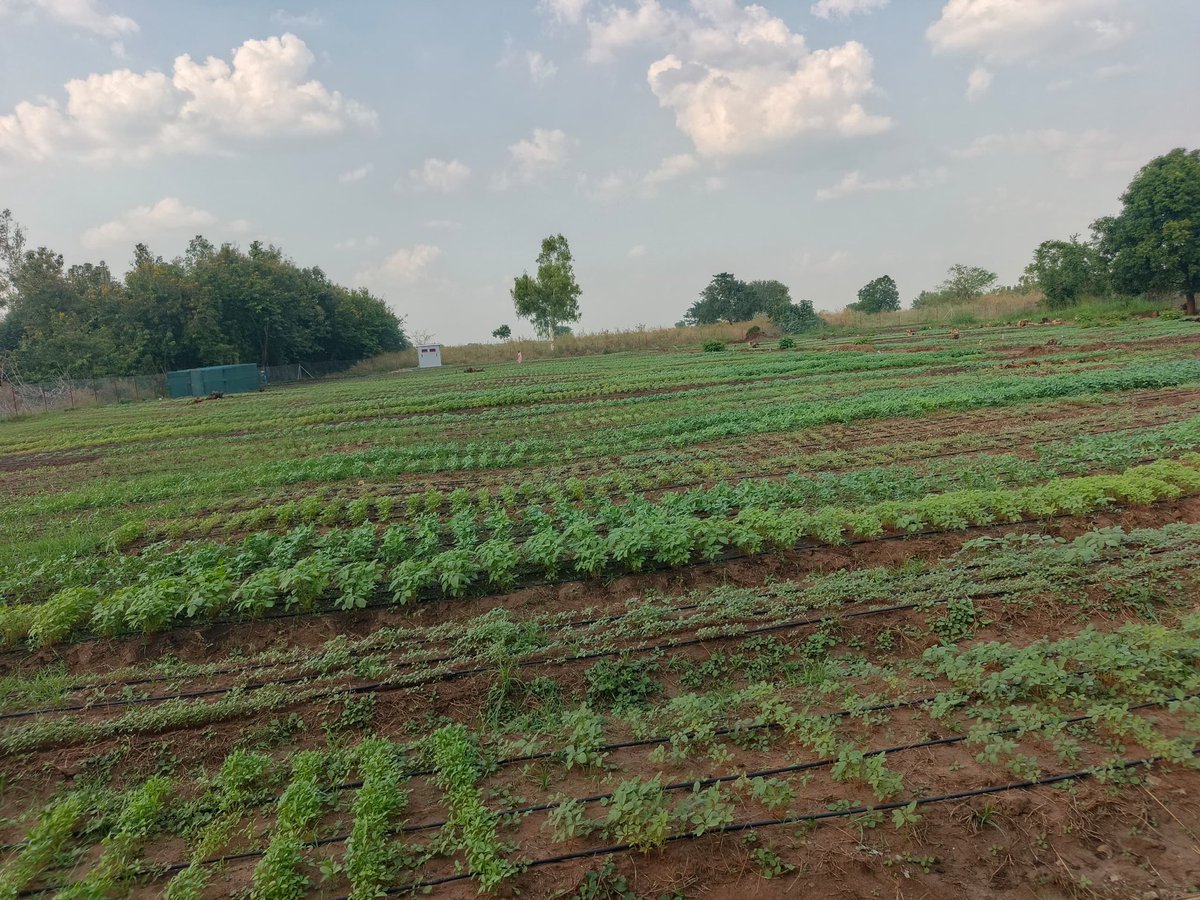 Aptech Africa tweet media