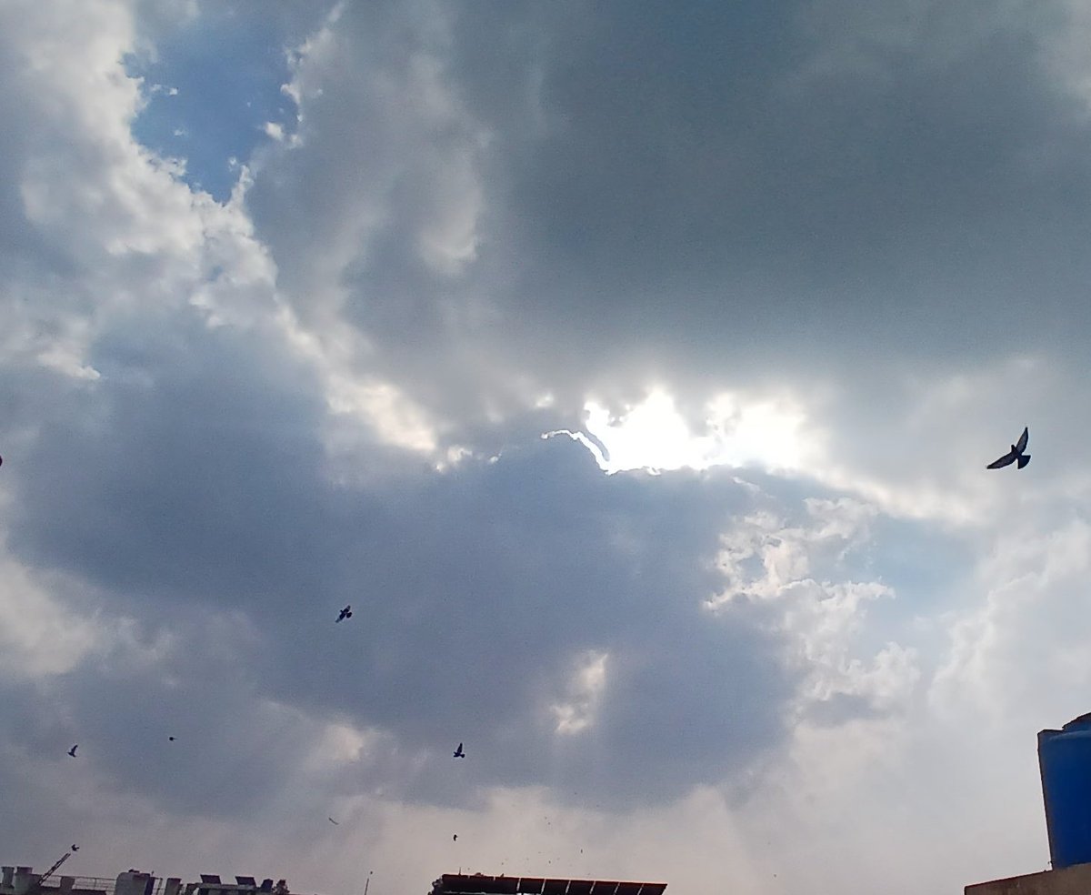 mrsiftikhar78's tweet image. #RandomClick . . .