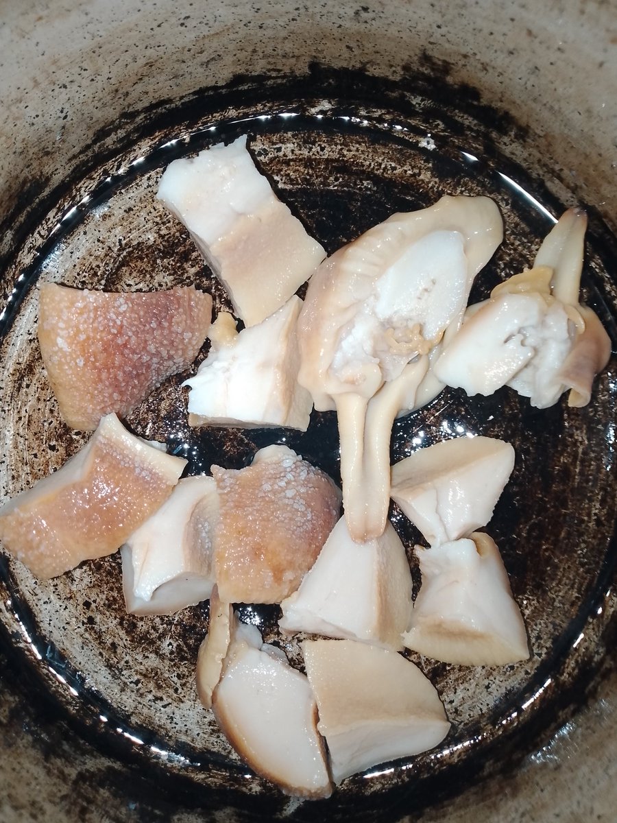 LOSEYIE's tweet image. Sea snail, shrimps, squid and Agasa fish. 

Different date