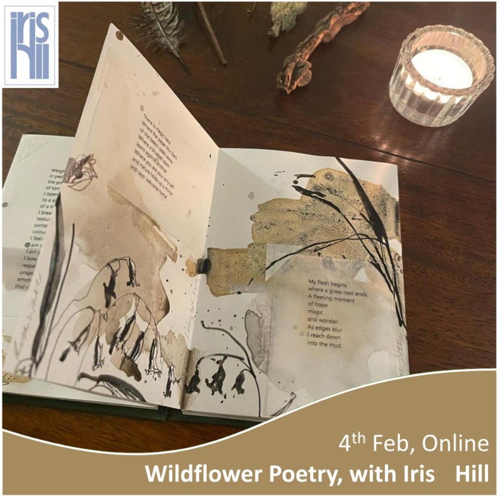 National Plant Monitoring Scheme tweet media