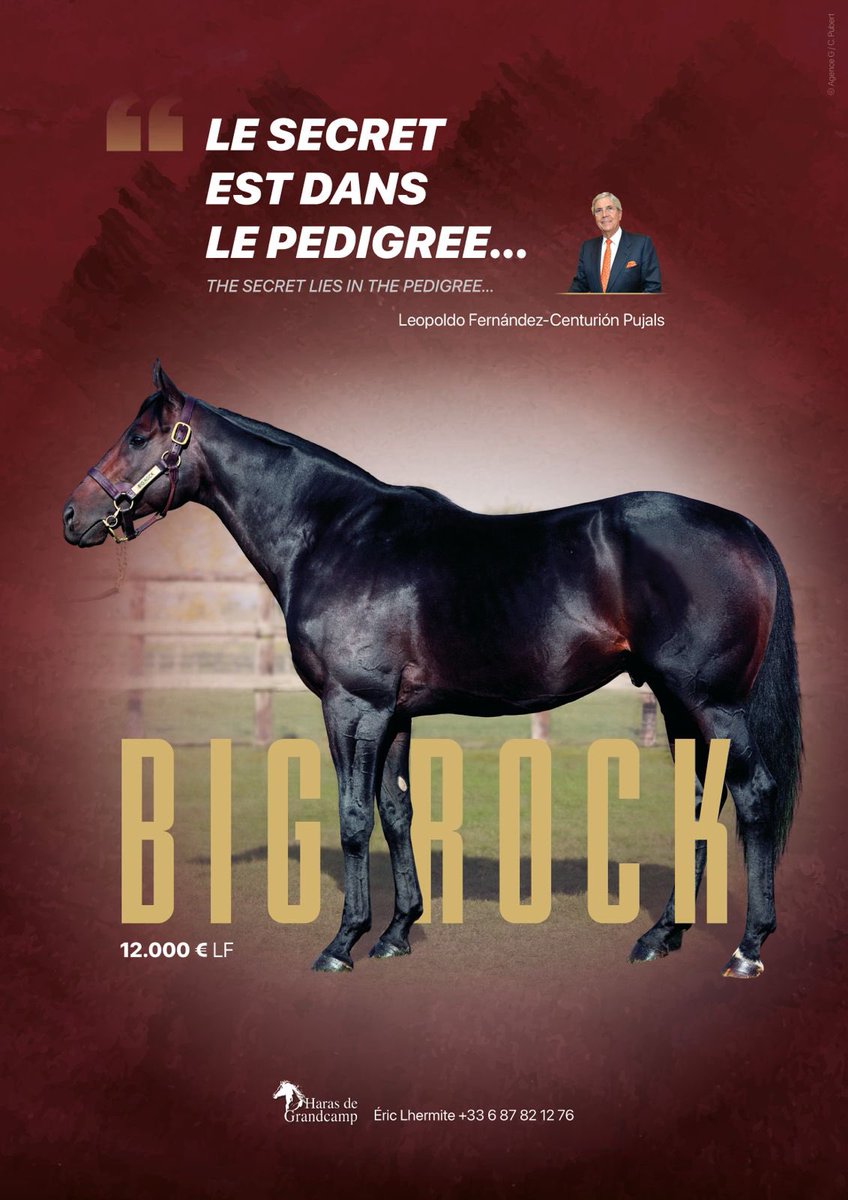 Nick Higgins tweet media