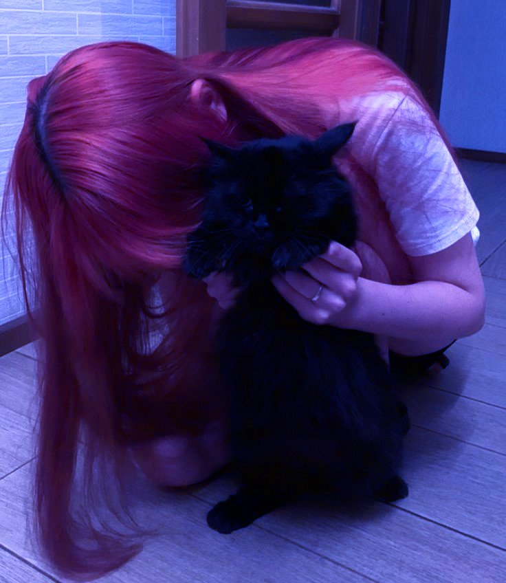 AzureRoot's tweet image. Um belíssimo dia para todo mundo! Hoje eu trouxe a Mio para dar bom dia também! Talvez ela se arrependa de ter me dado tanta confiança, mas juro que ela me ama!