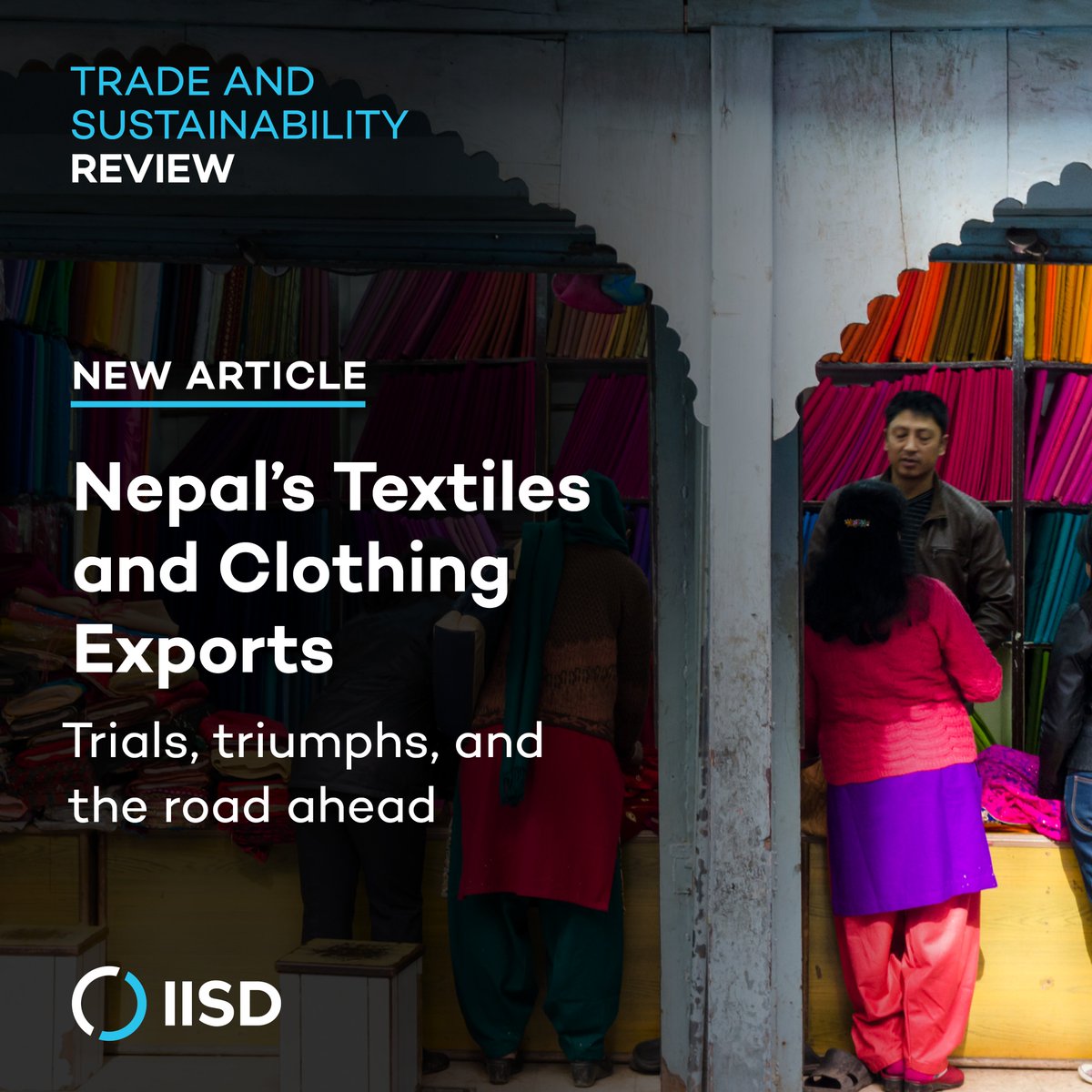 IISD Economies tweet media