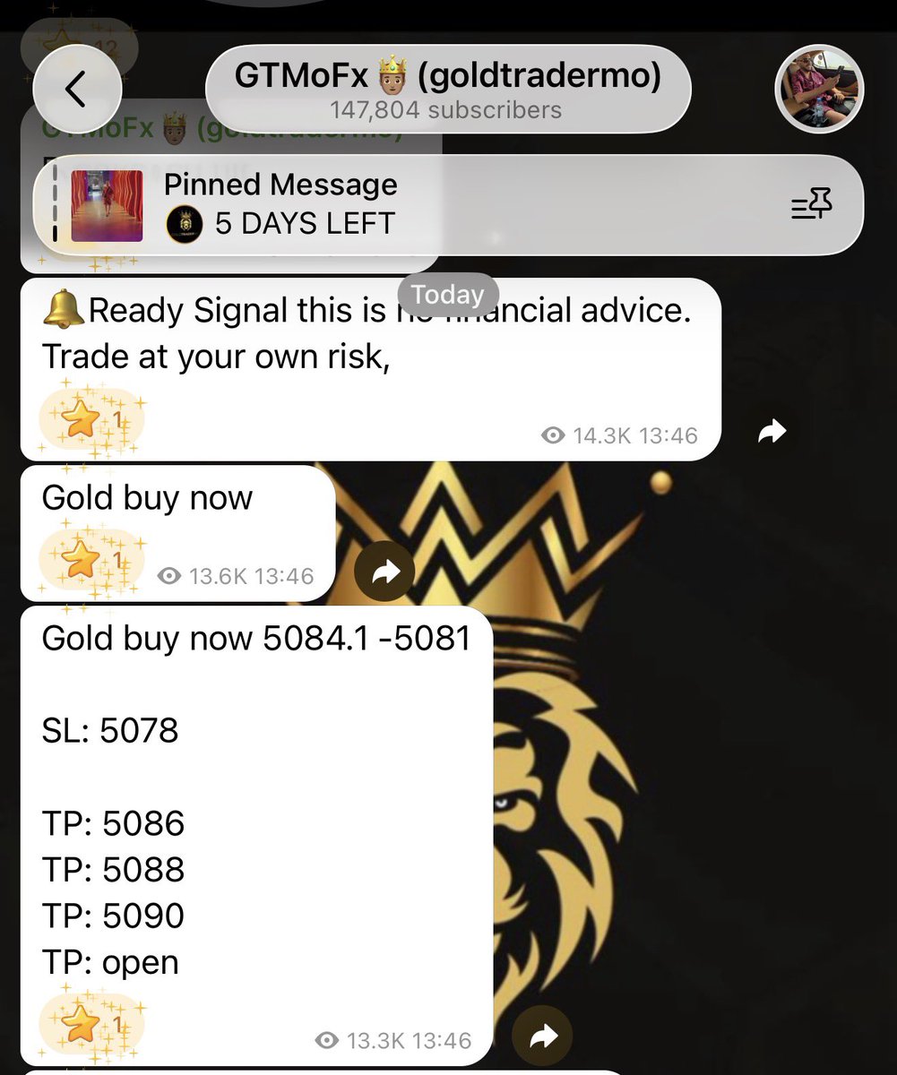 GoldTraderMo tweet media