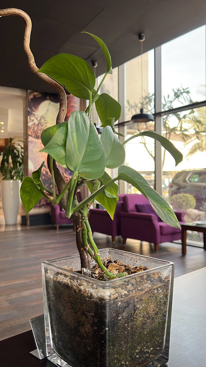 We didn’t just collect ideas, we threaded them through lived experience. That’s the difference between commentary and insight.
#shortstory