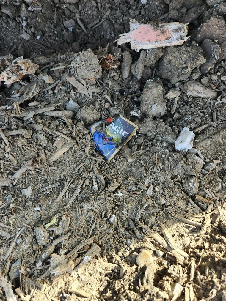 くまたろう 7162e0820f5c298d413f0bf3cbfca1