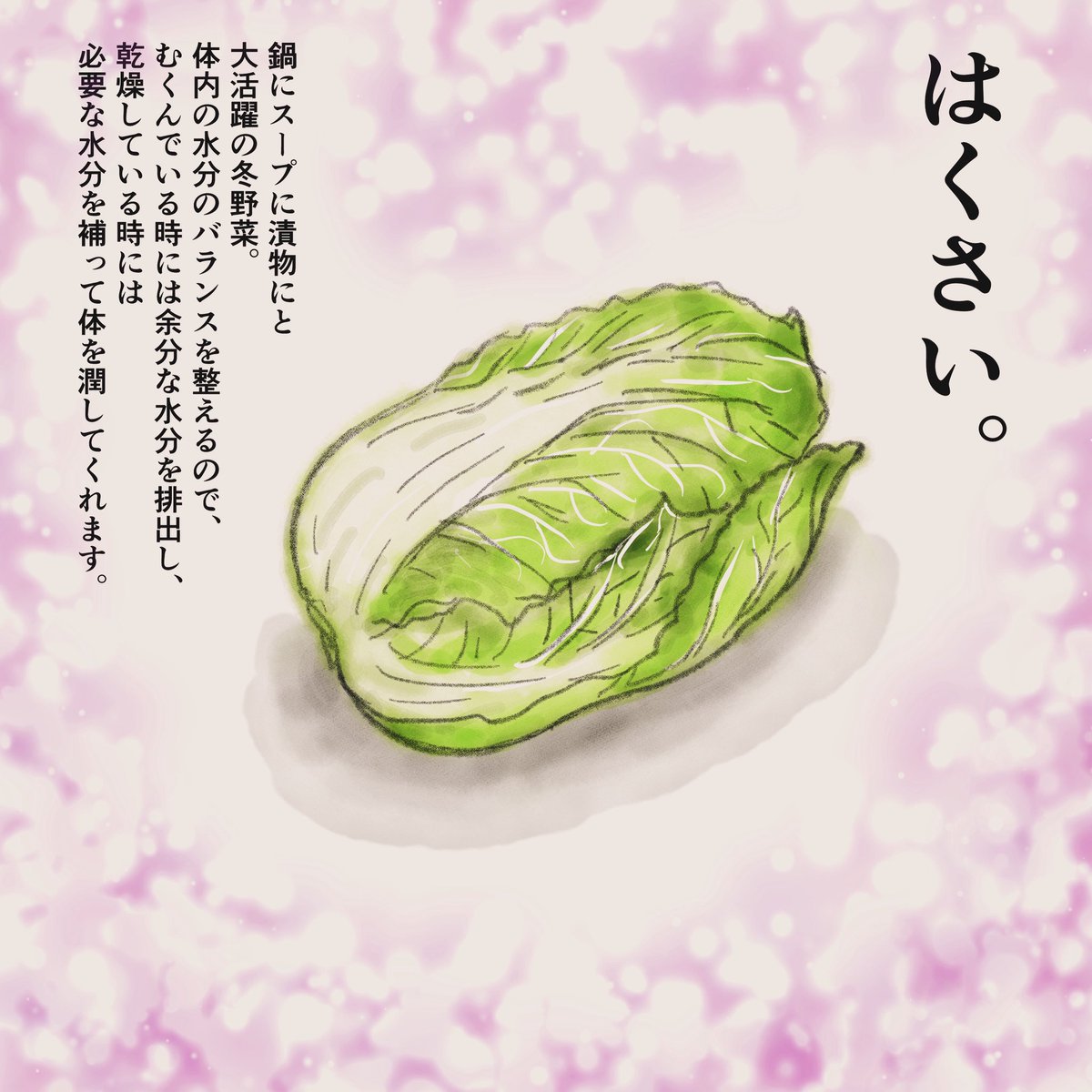 冬野菜代表はくさい。体内の水分調節はお任せ。
