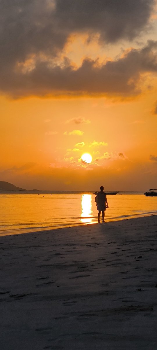 VagamundosCarlosOlmo tweet media