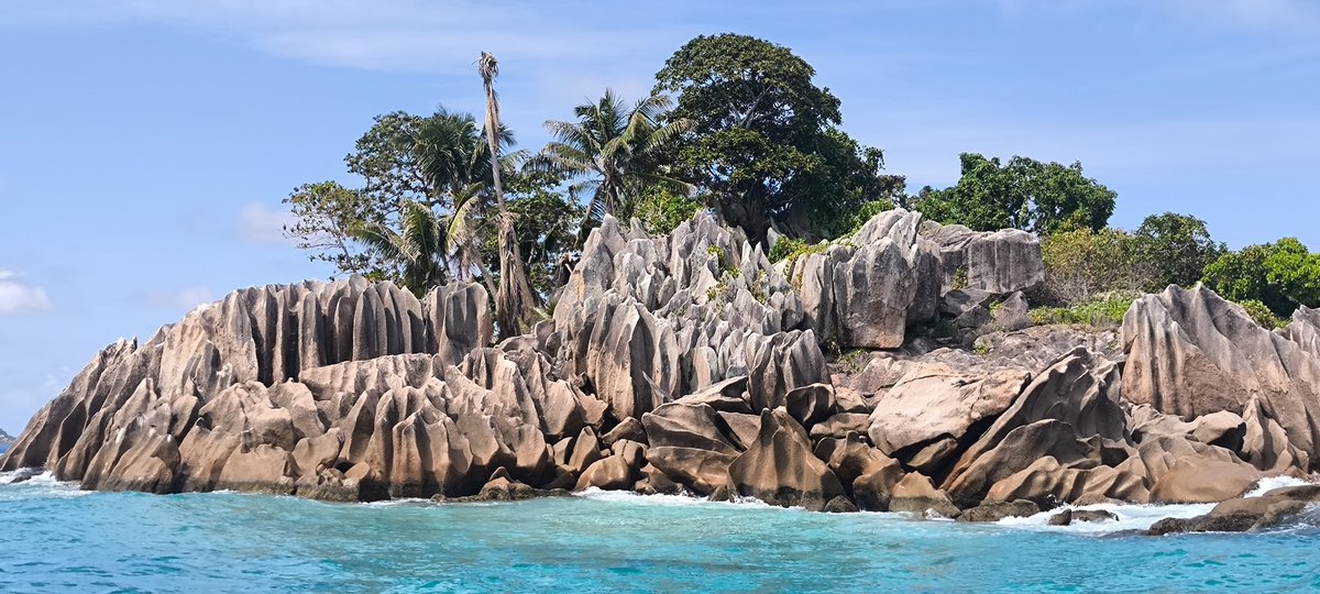 VagamundosCarlosOlmo tweet media