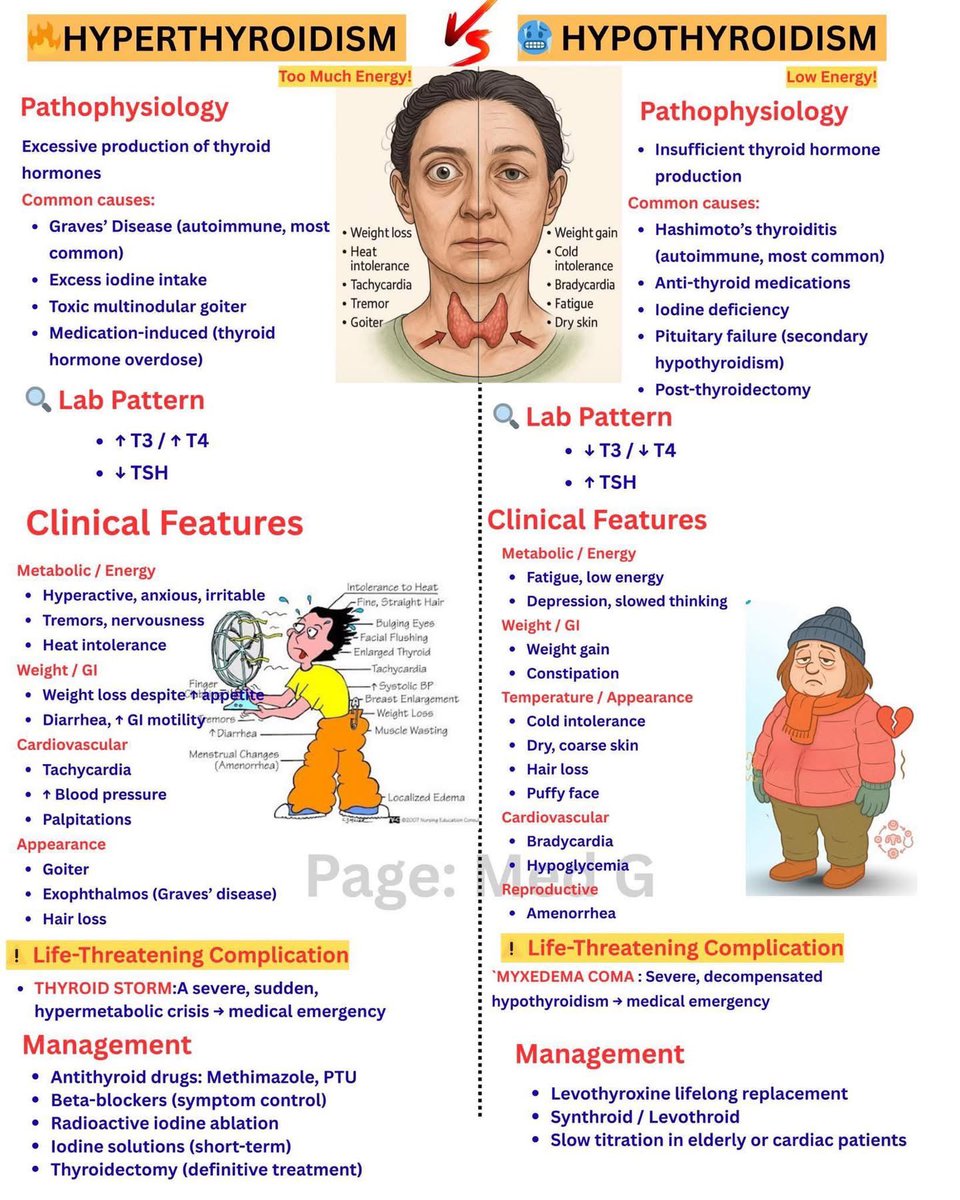 Hypothyroidism vs. Hyperthyroidism