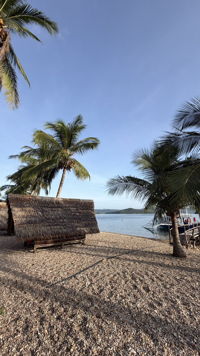 Azy si vous voulez jouer