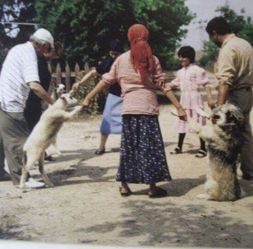 Ne kadar anlamlı bir fotoğraf☺️her gördüğümde içimde bir kıpırtı oluveriyor