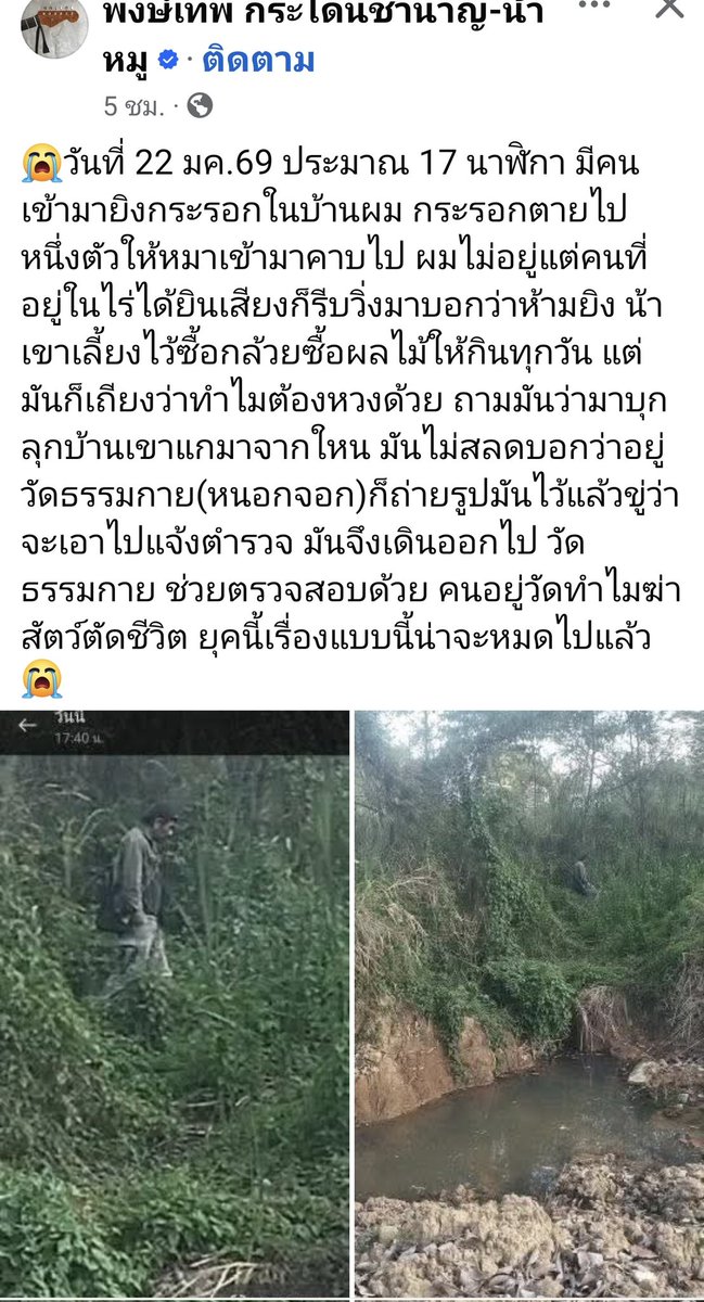 joe_black317's tweet image. น้าหมู พงษ์เทพ กระโดนชำนาญ ศิลปินเพื่อขีวิต โพสต์เรียกร้องให้วัดธรรมกาย (หนองจอก) ตรวจสอบชายคนนี้ บุกรุกเข้ามายิงกระรอกในบ้าน!!!

น้าหมูโพสต์ว่า 😭วันที่ 22 มค.69 ประมาณ 17 นาฬิกา มีคนเข้ามายิงกระรอกในบ้านผม กระรอกตายไปหนึ่งตัวให้หมาเข้ามาคาบไป…