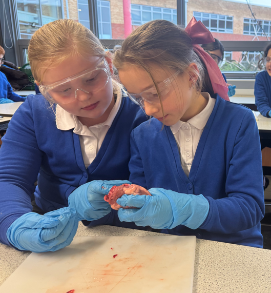 DeltaTheLaurel's tweet photo. #TeamTLA Thank you to @HighwoodsSchool for visiting our academy yesterday and attending a science lesson. #notphased #futurescientists A good time was enjoyed by all👋👋👋 https://t.co/UzzkmjUp8j