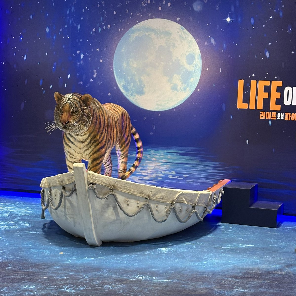 260127 밤공 라이프 오브 파이 자둘