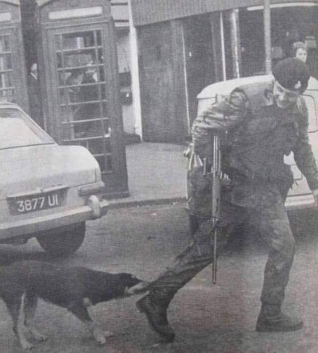 ClonardArea69's tweet photo. This was Saoirse the rebel dog. She was in the RA, when patrols came through the district she used to let on to sleep until the last British soldier passed then went clean for the ankles. 
She would have played dead if got kicked. She got a full military funeral. RIP Saoirse. https://t.co/xPDL3ibKJF