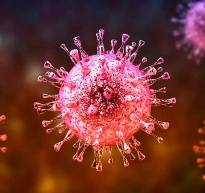 Eyaaaad's tweet image. 🚨
دول آسيوية من بينها (تايلاند، نيبال، تايوان، هونغ كونغ) تبدأ برفع جاهزيتها خوفاً من تفشي فيروس "نيباه" على أراضيها وتكثف الفحوصات الصحية في مطاراتها على جميع المسافرين القادمين من الهند.