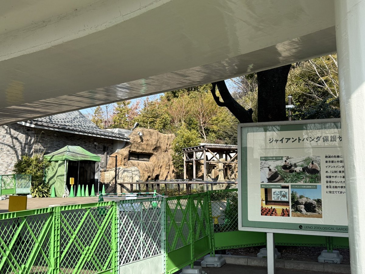 take_ev's tweet photo. 動物園からの出発を見送った😢
天候にも恵まれ風もほとんどなく穏やかな日で良かった☀️

シャオシャオが興奮したのは大好きなレイレイに久しぶりに会えたからと思いたい。

レイレイが興奮したのはひっつき虫にまた絡まれることを想像してしまったからと思いたい。

とにかく無事に‼️✈️

2026.1.27 https://t.co/fNe4er8c4A