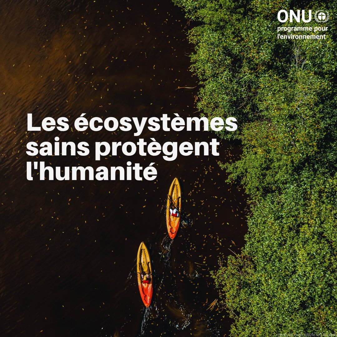 Face aux changements climatiques, la nature est une alliée clé.
Mangroves et forêts protègent les communautés des inondations, sécheresses et incendies, tout en préservant l’eau et l’alimentation.

Lire plus sur l'adaptation fondée sur les écosystèmes : ow.ly/M54f50Y4aYL