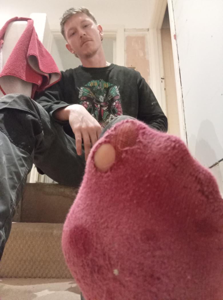 Daddy Longlegs tweet media