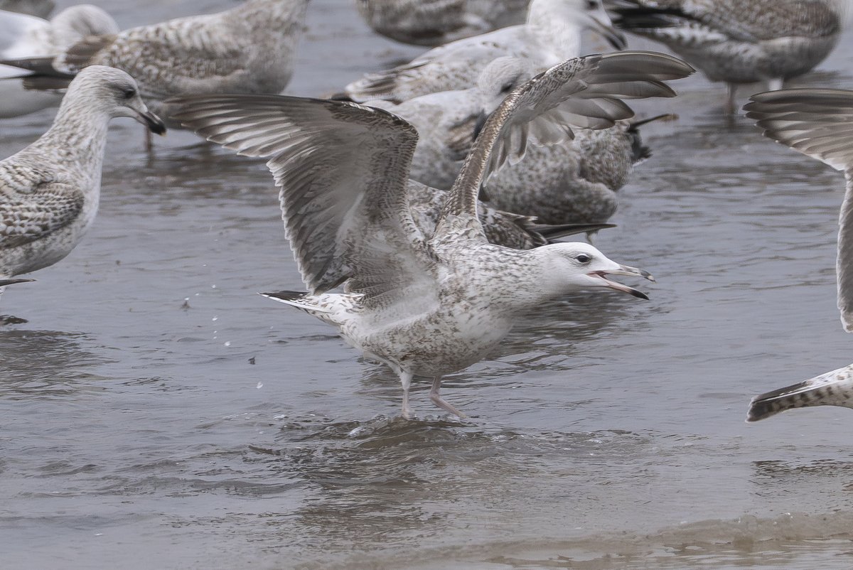 Andy Hale tweet media