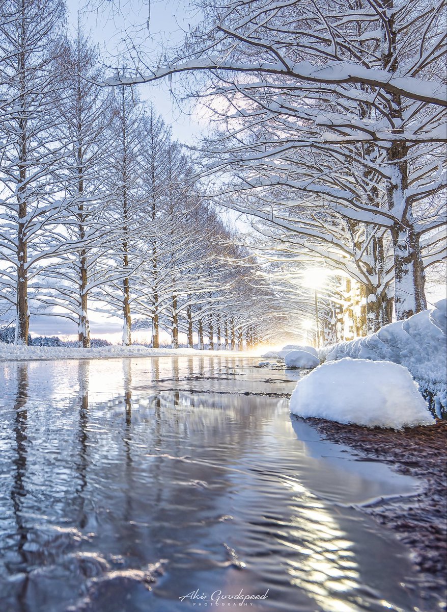 白銀のトンネル✳︎