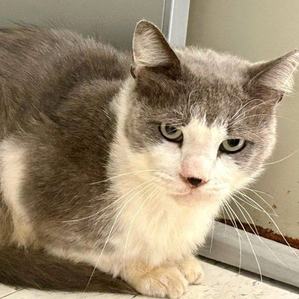 Renee' Martin tweet media