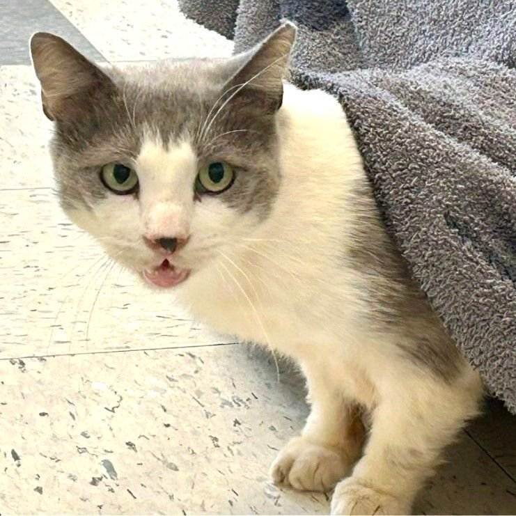 Renee' Martin tweet media