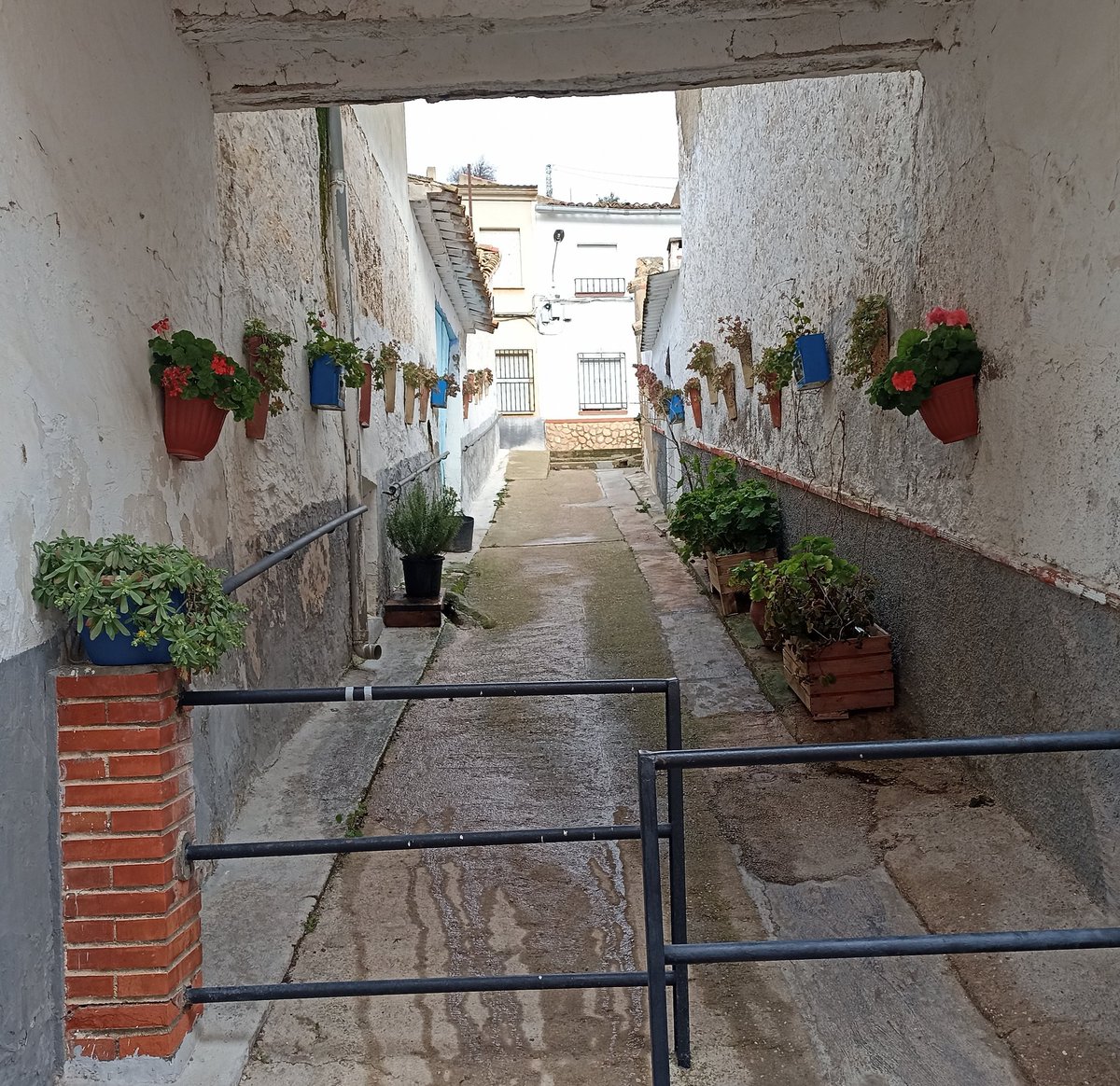 Buenos días
#letrasalacarta
Si le pones flores, es más bonito.
Aunque haya trabas, o cuesta arriba, si plantas flores, veras colores.
Embellece tu camino, que no solo será más grato tu destino, sino que también alegrarás a otros, en un día sombrío.

#relatosbreves
#microcuento
