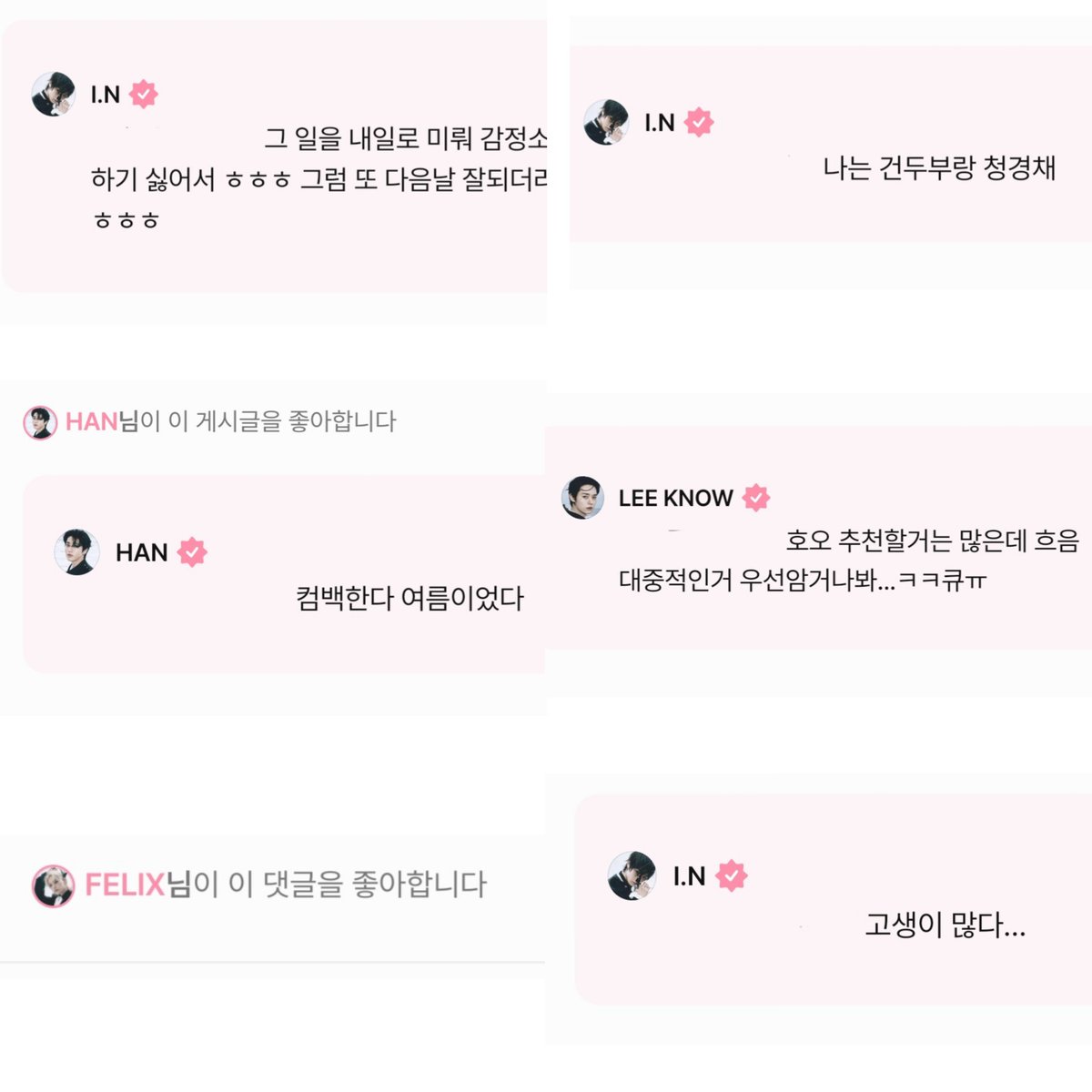 _puddingcat's tweet image. 5기결산
당첨 2개는 스테이존이에요....☠️