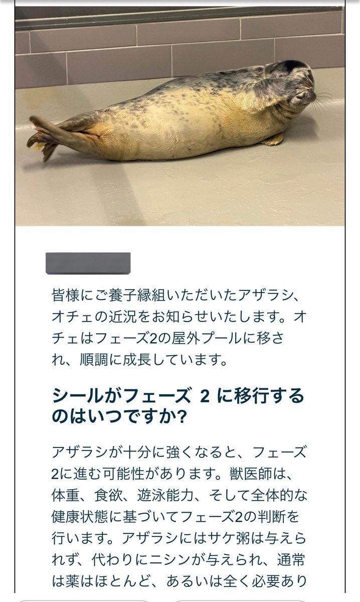 温泉アザラシオーダーページ ええええ！かわいいOtjeの近況報告メールきた！これからこういうメール