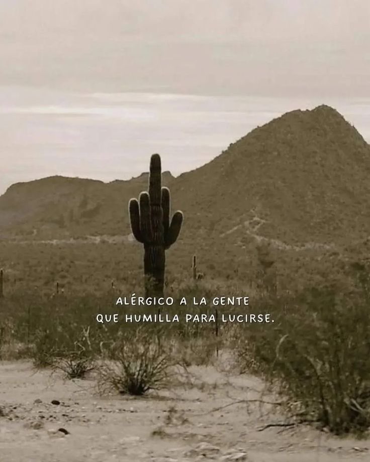 Disciplina (@eligedisciplina) on Twitter photo 