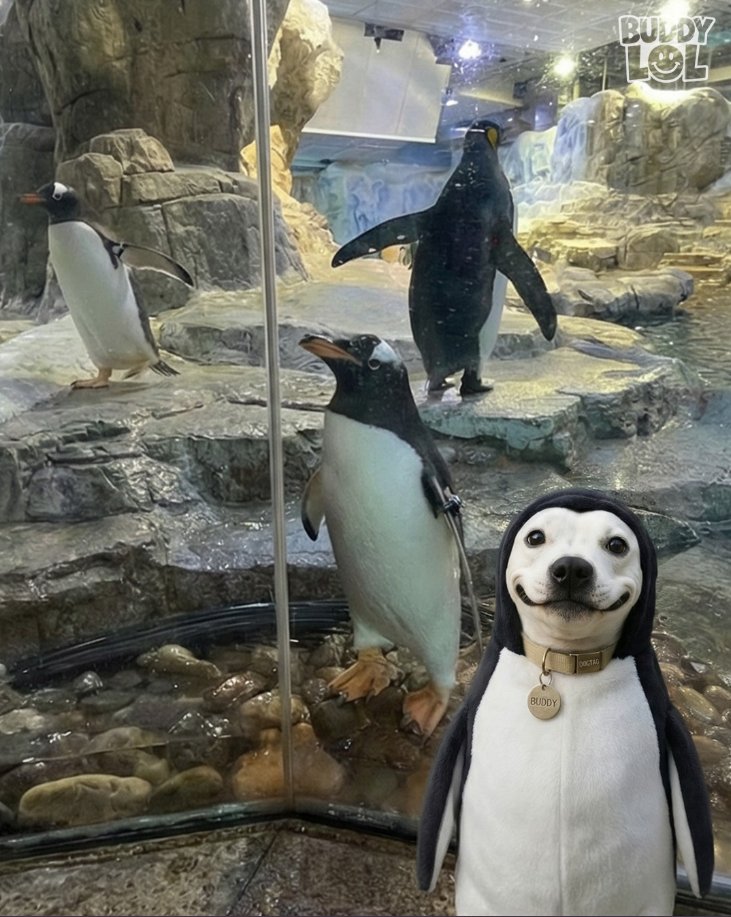 The selfie of the year❤️☺️🐧